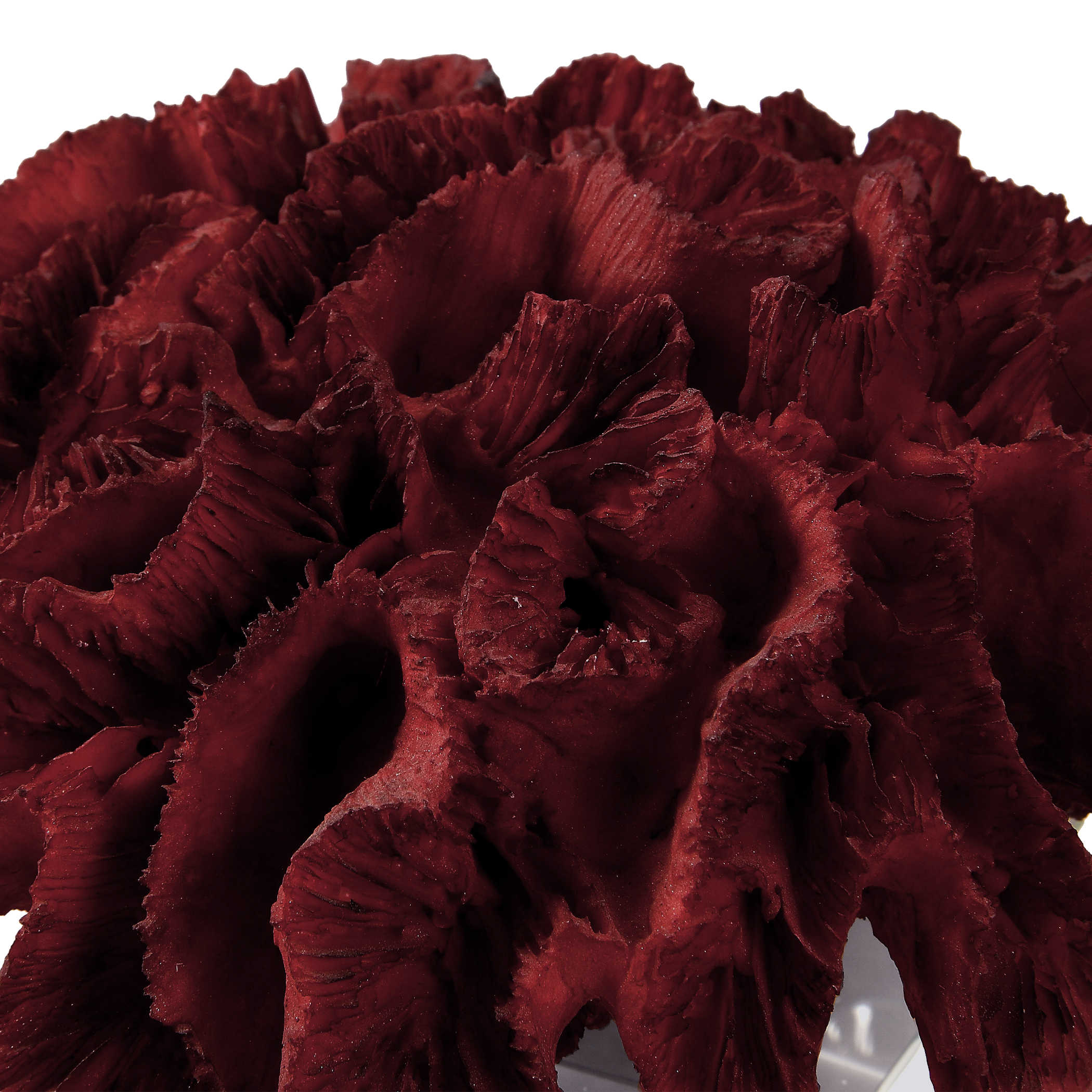 Uttermost Hard Cream Coral 2-Piece Accent Sculpture Set - #1M750