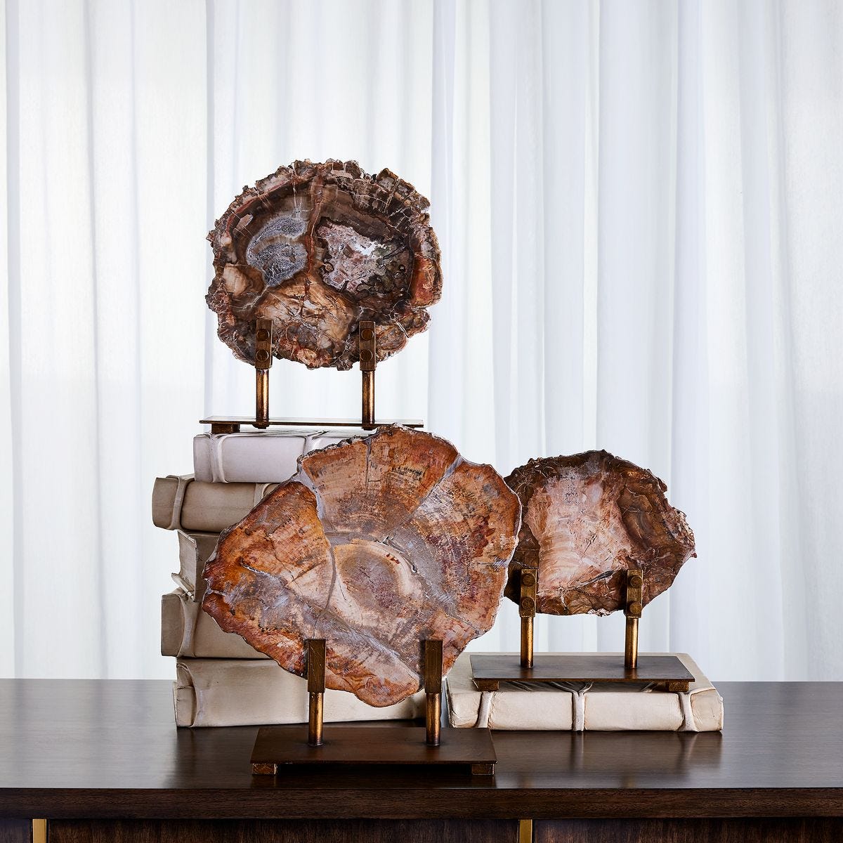 Petrified Wood Sculpture - Uttermost