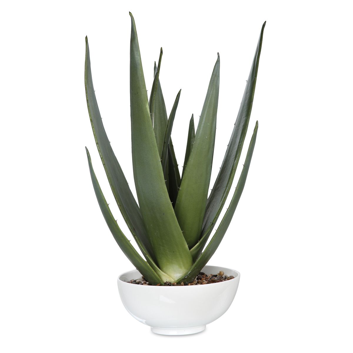 Evarado Aloe Planter - Uttermost