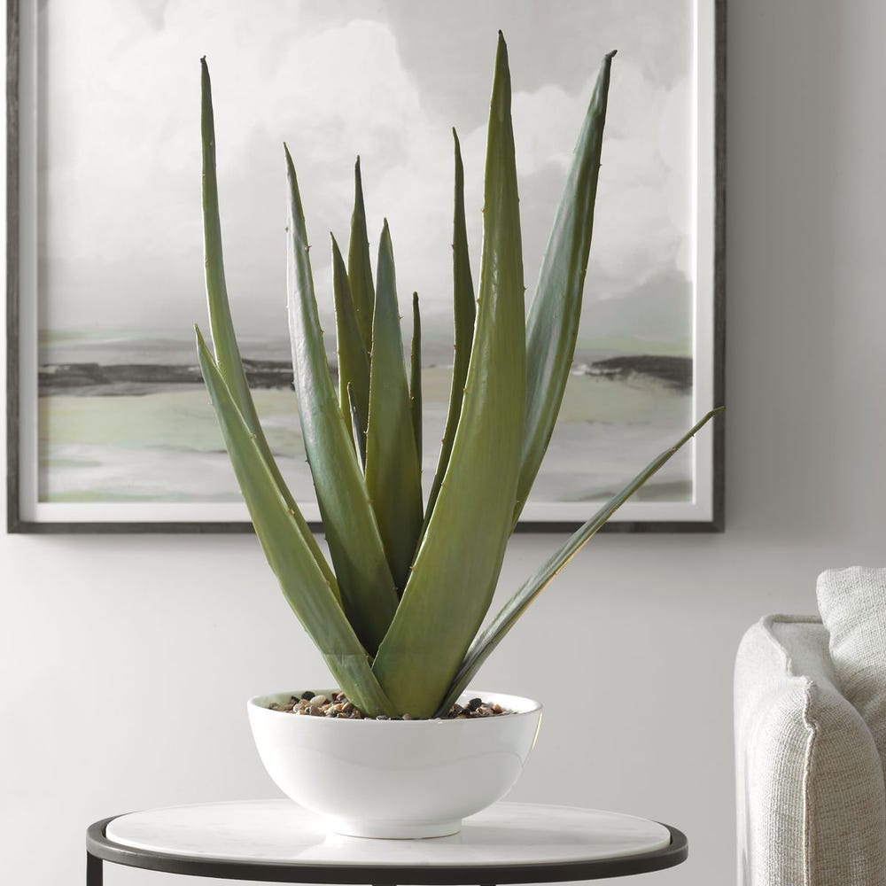 Evarado Aloe Planter - Uttermost