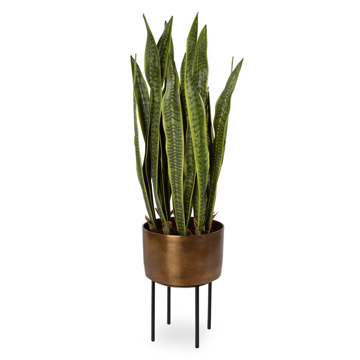 Fasita Planter, 2 cartons - Uttermost