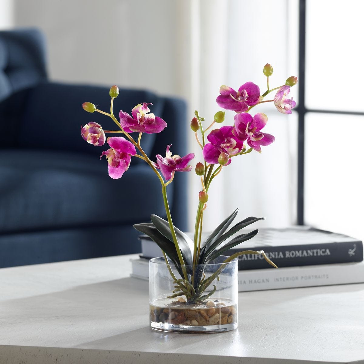 Glory Orchid, Fuschia - Revelation