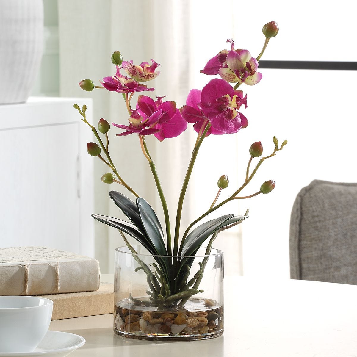 Glory Orchid, Fuschia - Revelation