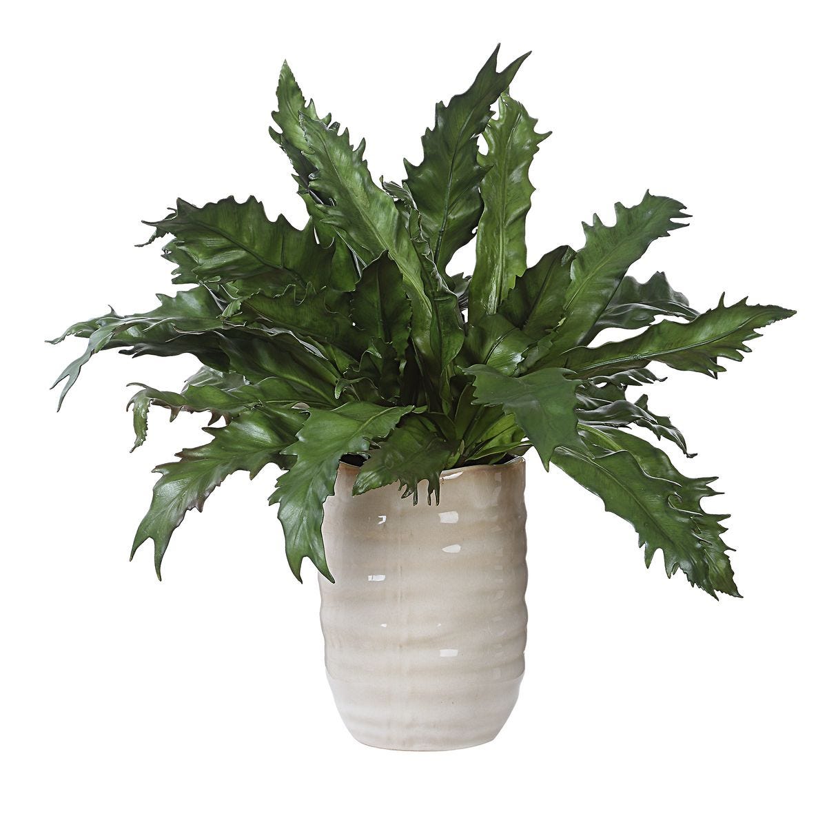 Verdure Fern view 4
