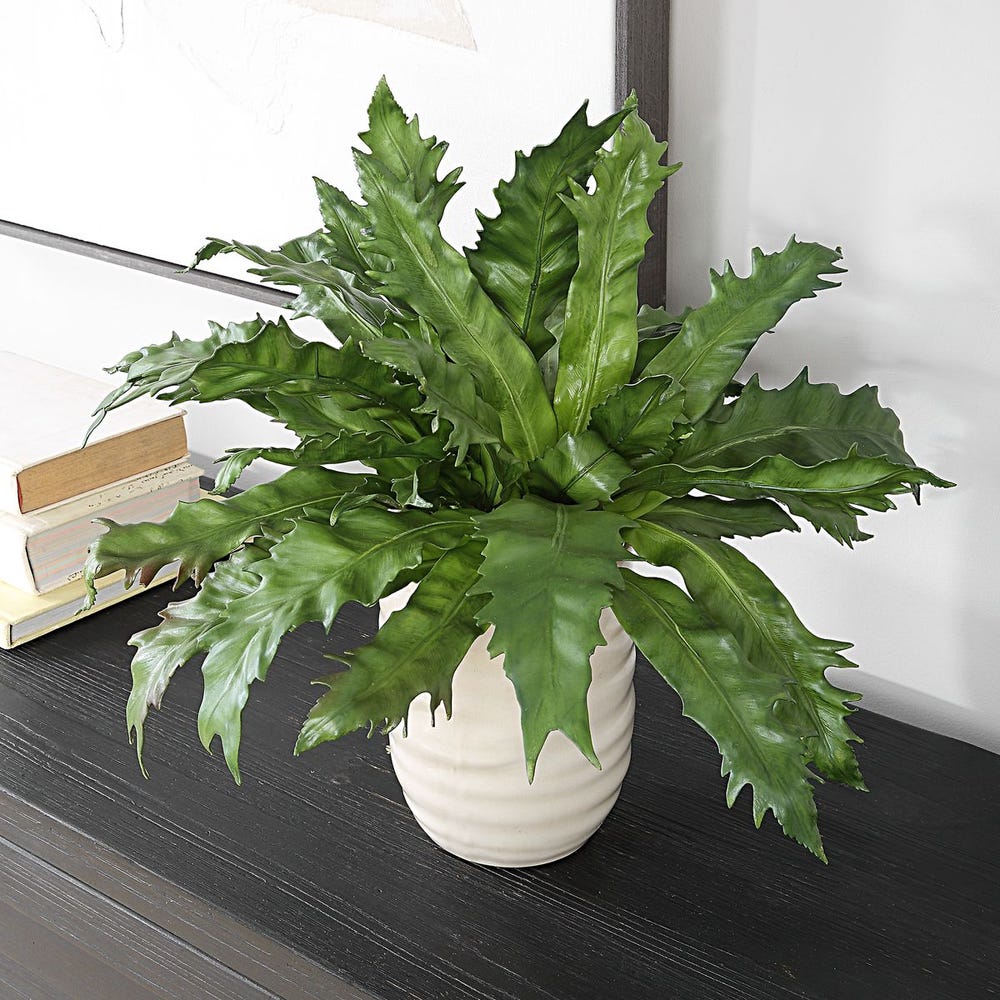 Verdure Fern view 9