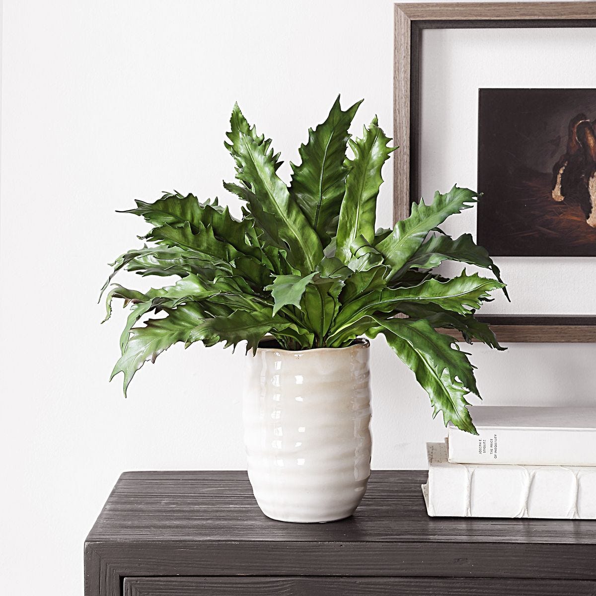 Verdure Fern view 5
