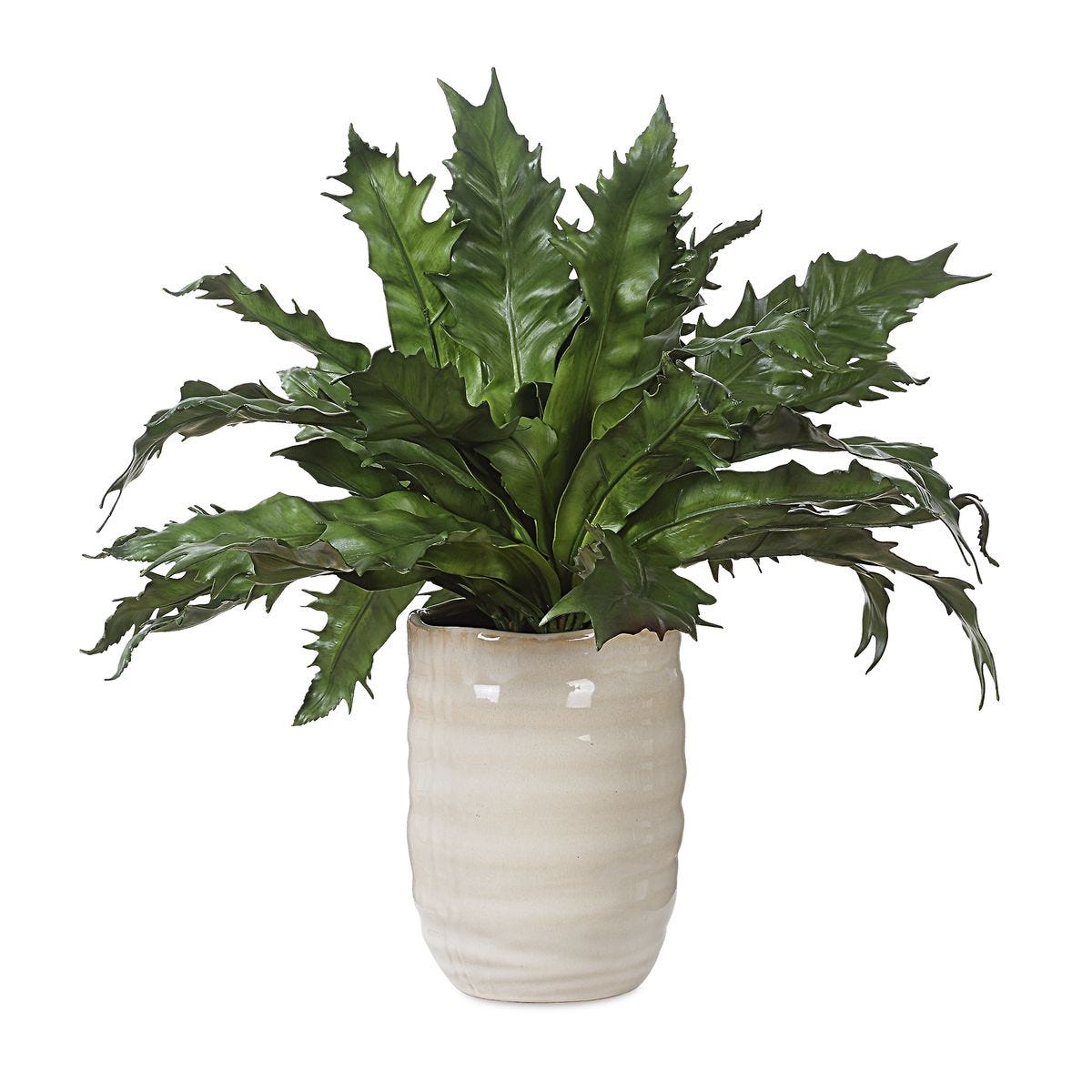Verdure Fern view 2