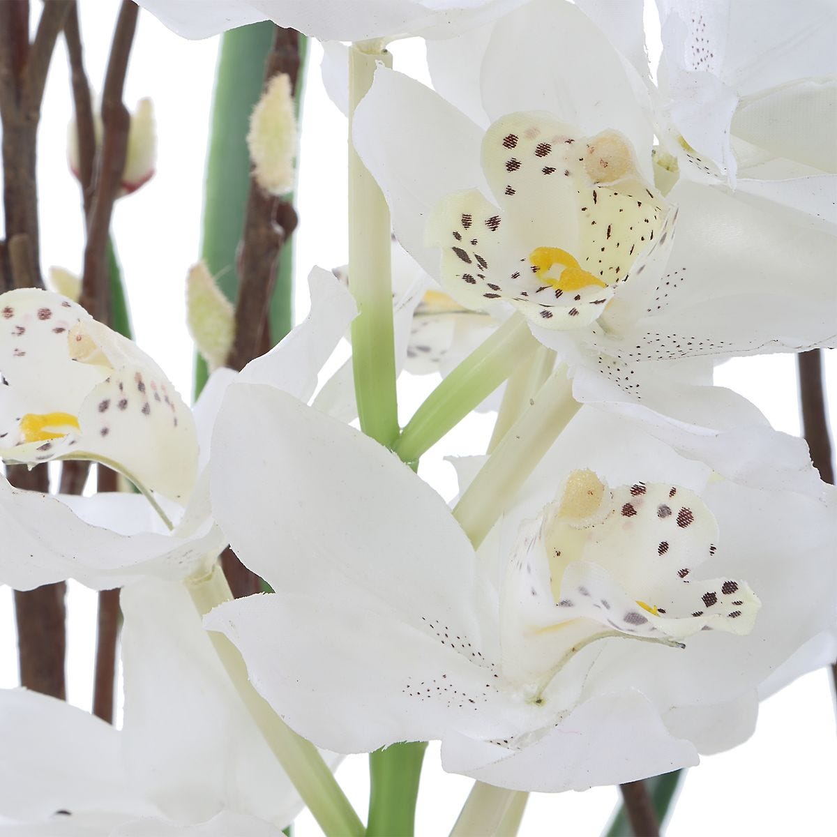 Eterna Orchid Centerpiece - Uttermost