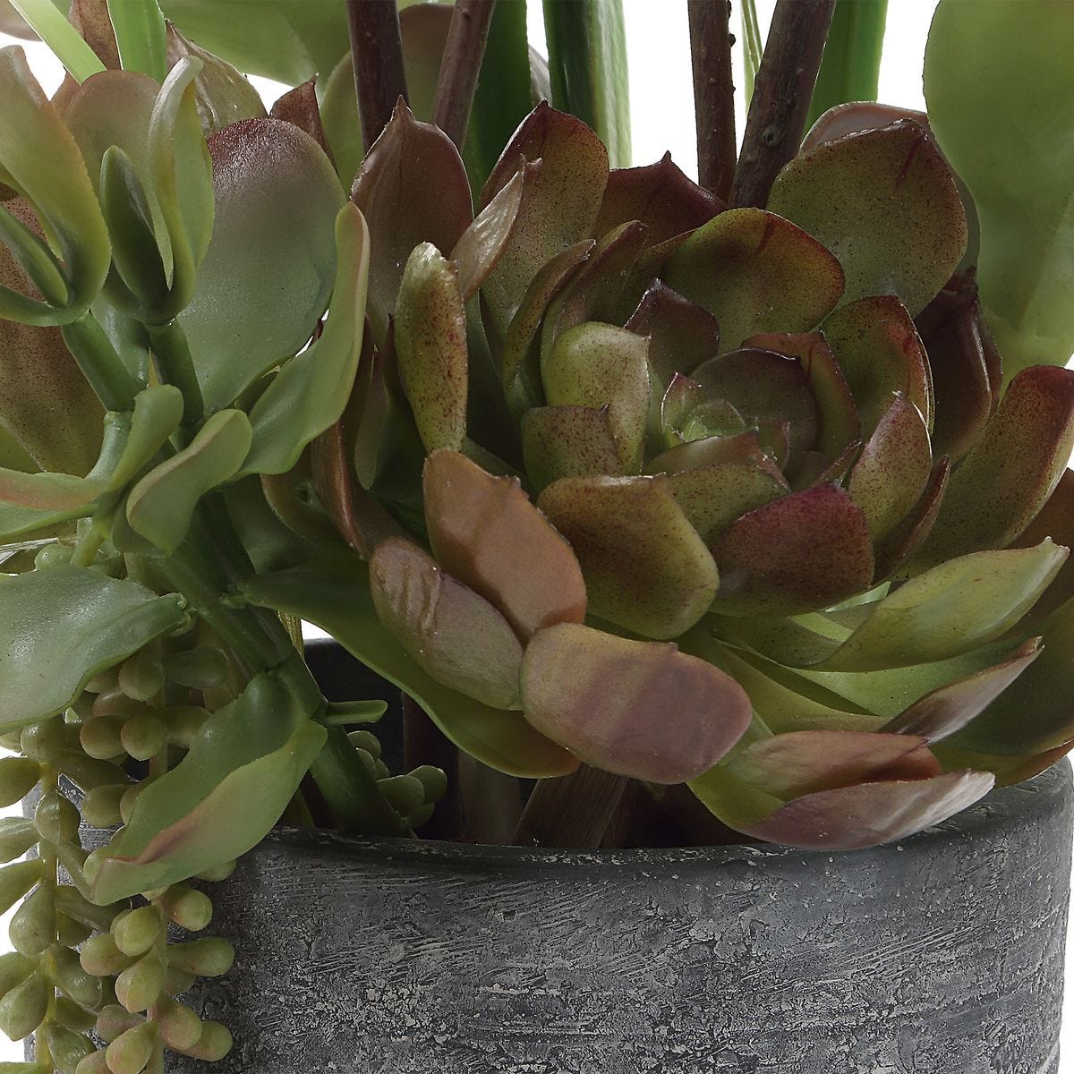 Eterna Orchid Centerpiece - Uttermost