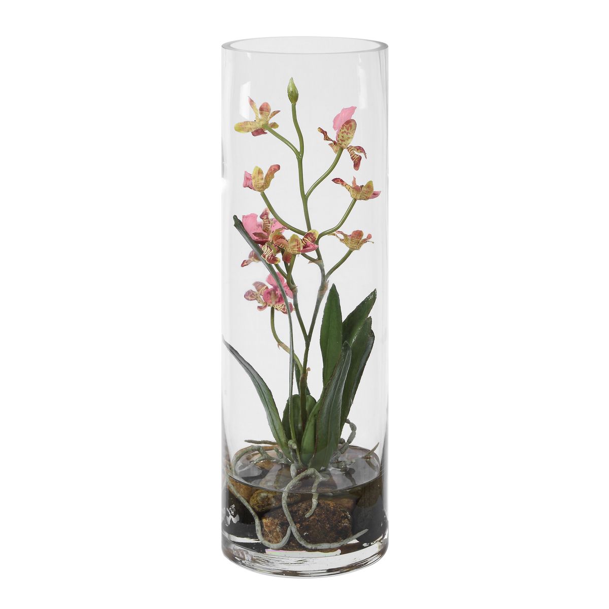 Mariposa Orchid, Pink view 4