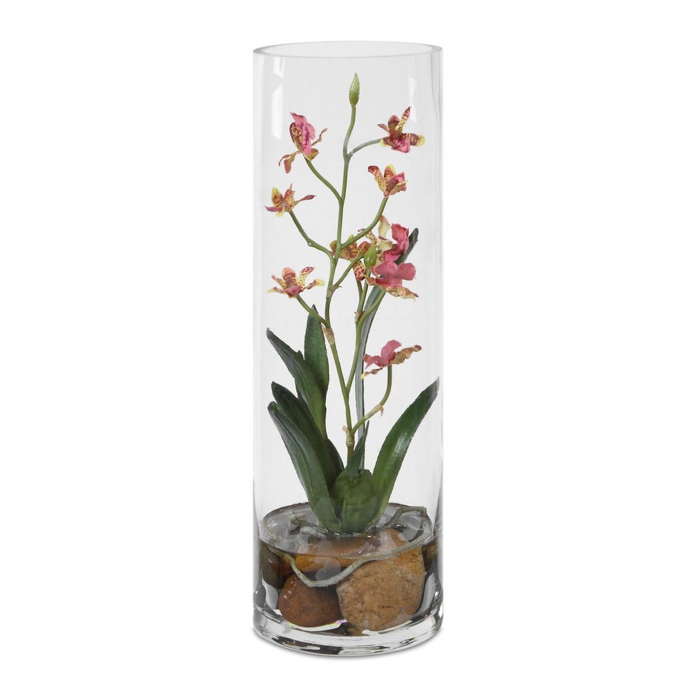 Mariposa Orchid, Pink view 7