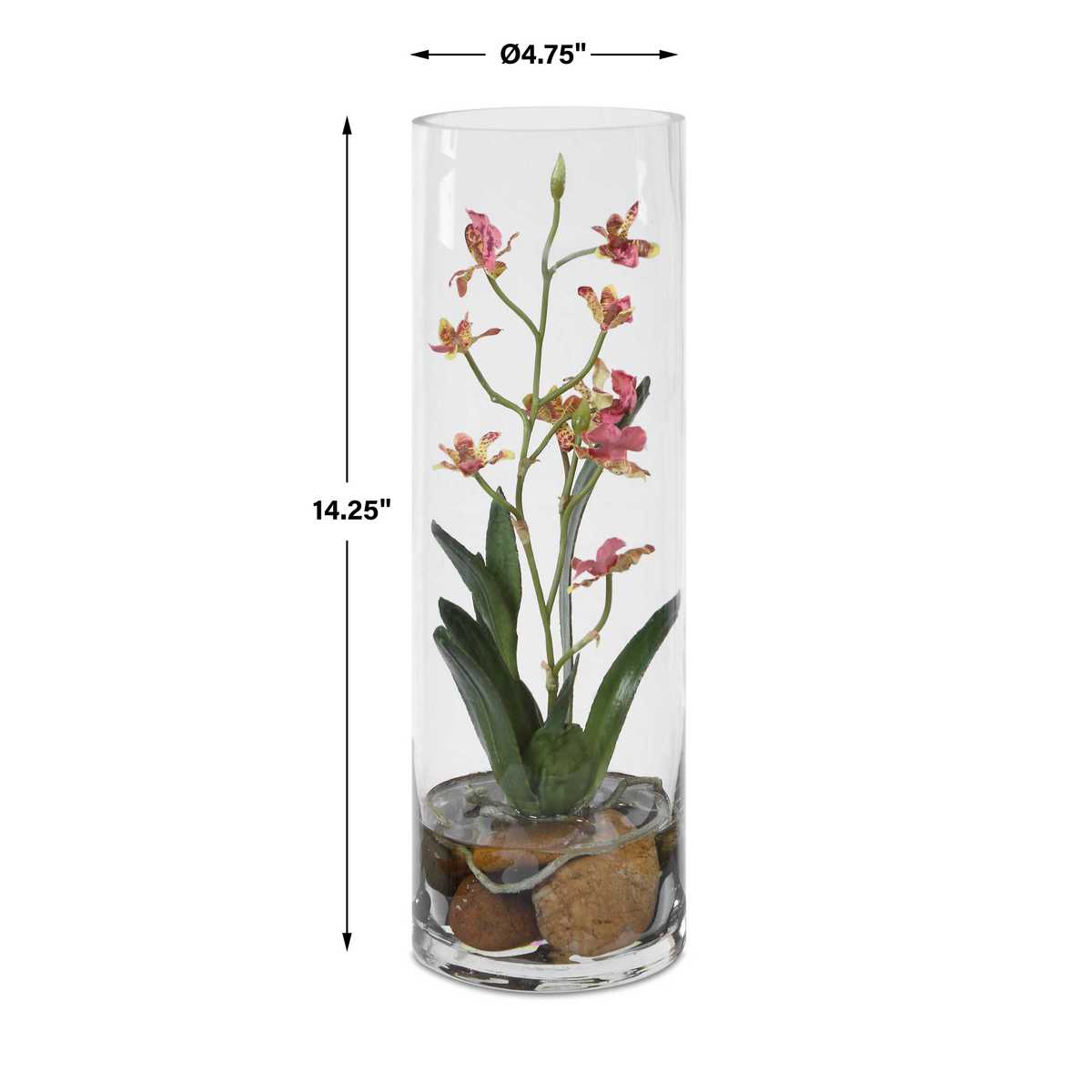 Mariposa Orchid, Pink view 5