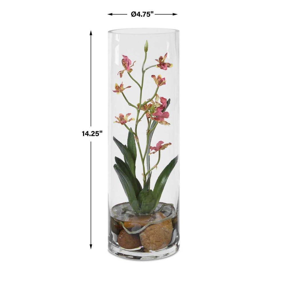 Mariposa Orchid, Pink view 10