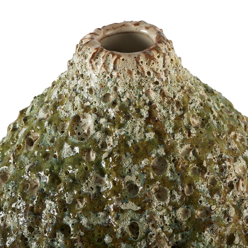 Out of My Gourd - Sage 20 view 9