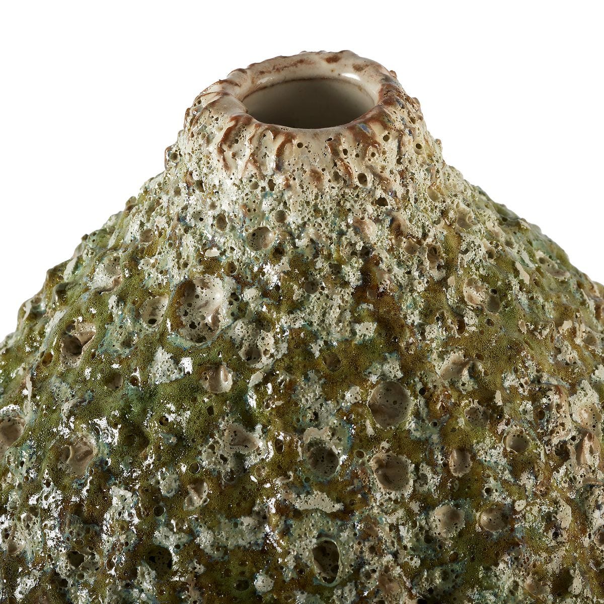 Out of My Gourd - Sage 17 view 2