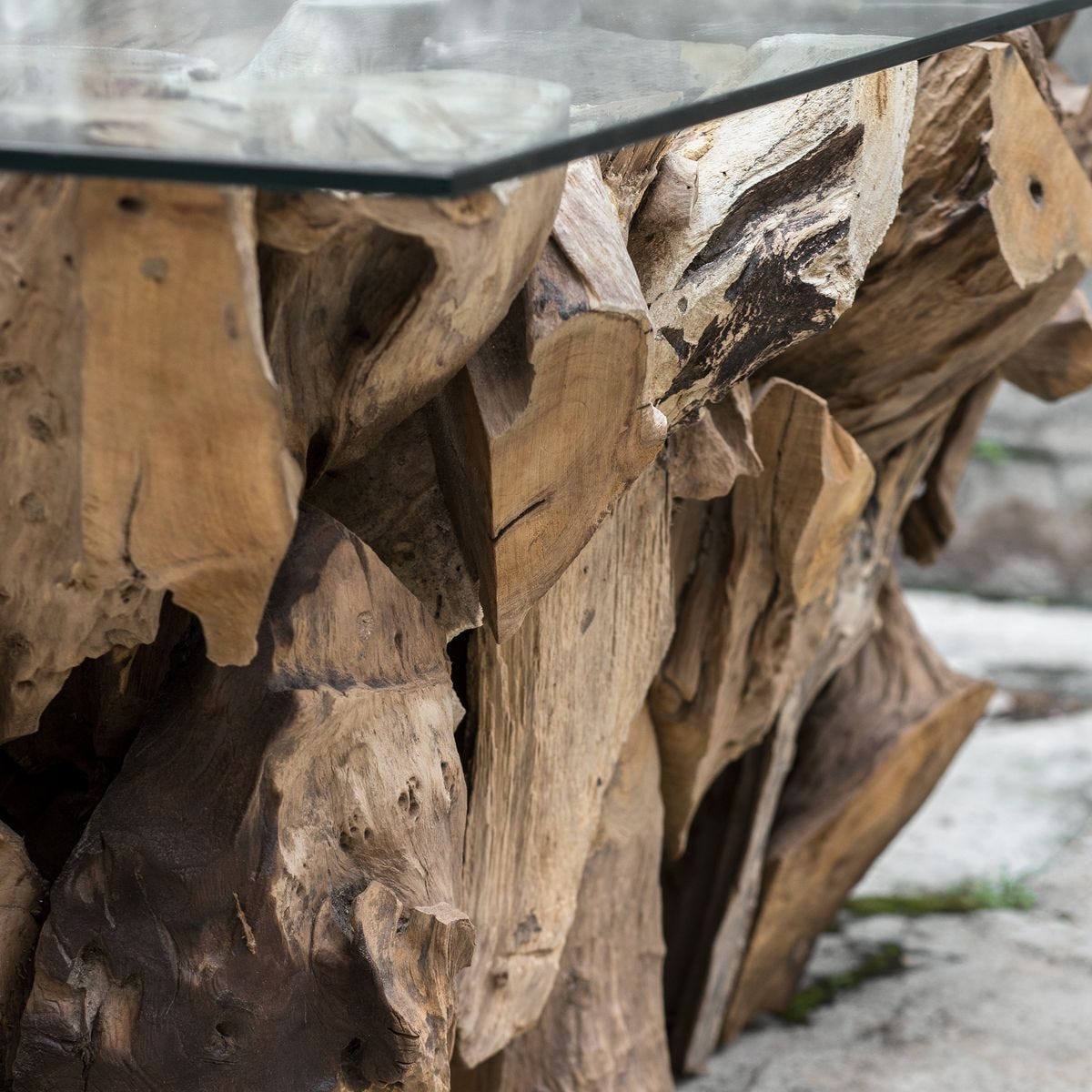 Teak Root Coffee Table, 2 Cartons - Uttermost